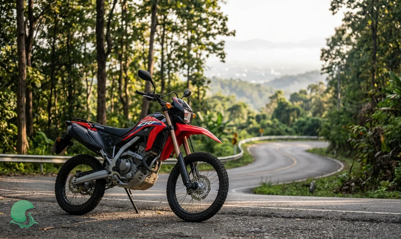 CRF 300L vs Royal Enfield Himalayan